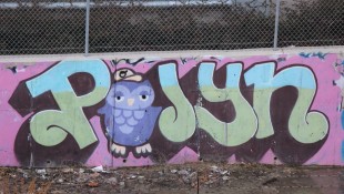 Silver Spring Graffiti - Polyn