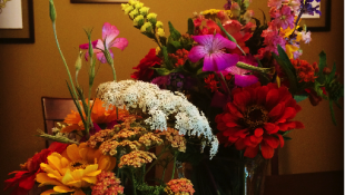 Silver Spring Farmer's Market Flowers