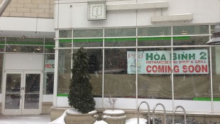 Hoa Bin Vietnamese Silver Spring